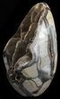 Polished Septarian Geode Sculpture - Black Crystals #55011-2
